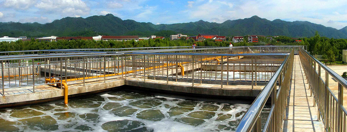 Design, construction and operation of sewage treatment projects.